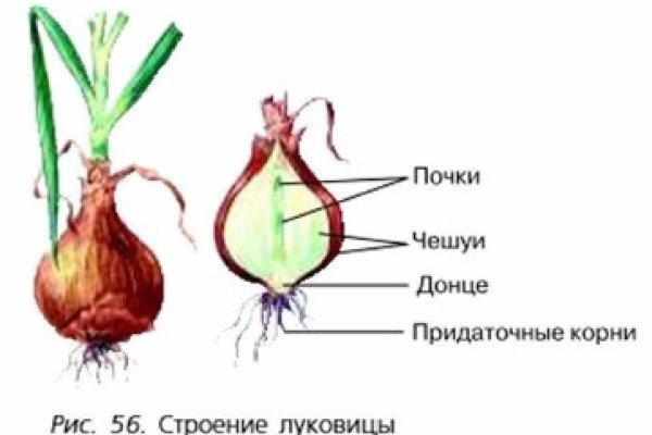 Найти ссылку кракен